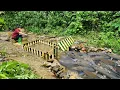 Download Lagu Ancient fishing skills. Using bamboo to make a fish trap in the stream. And caught a lot of fish.