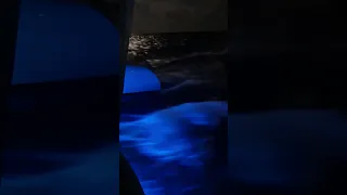 Fast sailing at night 🌙 #short #trimaran #speed