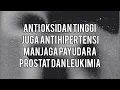 KING MASMUS - MANGGA (LIRIK)