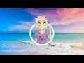 Allison & Vexento - Pineapple Breeze