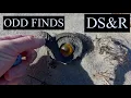 Odd Beachcombing Finds on Cape May s Sunset Beach Beach Combing in New Jersey