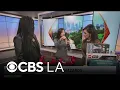 Doctor discusses age-appropriate childhood toys related to injuries
