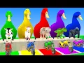 Download Lagu Long Slide Game With Cow Elephant Gorilla Hippopotamus Tiger 3d Animal Game Funny 3d Animals