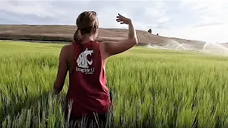 Back to Her Roots Ep 86