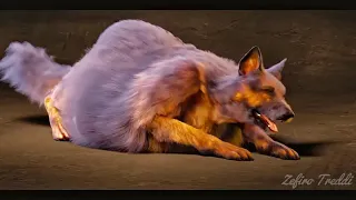 Wolf belly humping