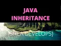 Beginner Java Tutorial on Inheritance Object Oriented Programming Principles