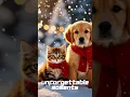 Download Lagu Onvergetelijke momenten: katten en honden spelen samen! 🐾 Deel 2 (Amerikaanse editie)