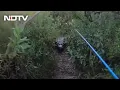 Download Lagu Watch: Giant Alligator Chases Florida Man During Tarpon Fishing