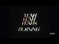 Yeah Yeah Yeahs - Burning (Official Audio)