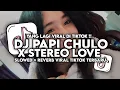 Download Lagu DJ PAPI CHULO X STEREO LOVE SLOWED + REVERB VIRAL TIKTOK 2024