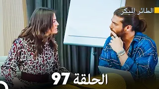 مسلسل الطائر المبكر الحلقة 97 Arabic Dubbed FULL HD 