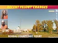 Recent Felony Charges In Roseau County District Court