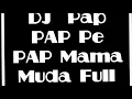 Download Lagu DJ Pap PAP Pe PAP Mama Muda Full Bass DJ Slow