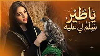 يا طير سلم لي عليه دندنها