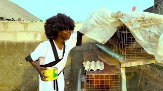 gone are those days in the kungfu county