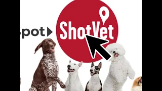 Why Do Pet Parents Love ShotVet