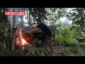 Download Lagu Pertama bermalam dikem hujan deras. Mulai mendirikan tiang pondok kebun !!