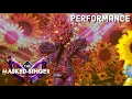 Download Lagu Coral sings “Accidentally In Love” by Counting Crows | THE MASKED SINGER | SEASON 13