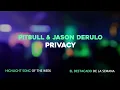 Pitbull & Jason Derulo - Privacy