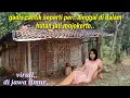 Download Lagu Vinaa,,,gadis cantik seperti peri  tinggal sendiri di hutan jati ..kini viral di Jawa timur