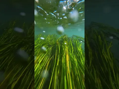 the beauty of nature - You didn't think it was that beautiful #satisfying