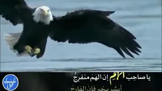 حسبي الله وكفى سمع الله لمن دعاء استغفر بنيت الفرج وزوال الهم والحزن وإنارت القلب بذكر الله إلا 