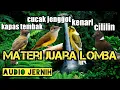 Download Lagu masteran kombinasi murai batu ||kombinasi suara burung masteran murai batu