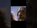 Download Lagu He went from Taka to Scar 😢 #sad #lionking #mufasamovie #mufasa #taka #scar #trendingmovie #fyppage