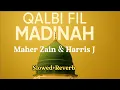 Download Lagu Qalbi Fil Madinah Slowed \u0026 Reverb Maher Zain d Harris j | Voice Of Truth| قلبي في المدينة ماهر زين