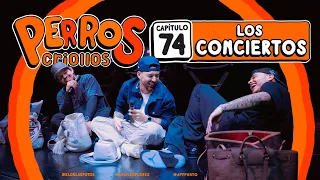 PERROS CRIOLLOS - LOS CONCIERTOS, CAP. 74