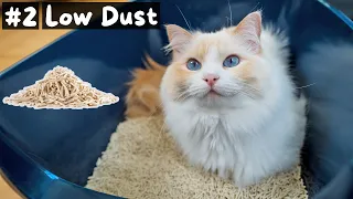 Download Pros and Cons of Tofu Cat Litter | The Cat Butler MP3