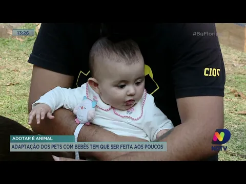 Adaptação dos pet com bebês tem que ser feita aos poucos