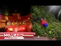 Lagu Penunggang Motosikal Maut Bertembung Bas Ekspres, Tercampak Sejauh 17 Meter #MGFlash