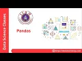 IIBM Institute Python Pandas