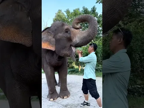 #luckygameplay