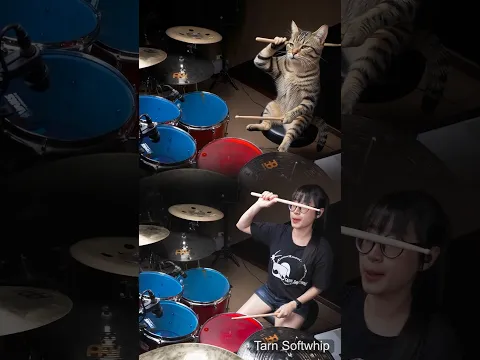 Bro never moved his legs... #psychosocial #slipknot #tarnsoftwhip #funnycats #drummergirl