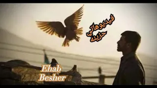 مش كنا زمان حبايب   دندنها
