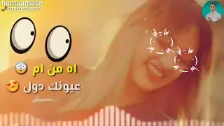 عنقود عنب شهد وافوكاتو وغير غرامك مش مسموح حمو بيكا 