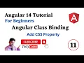 Angular 14 Tutorial for beginners Class Binding in Angular Add CSS Property in Angular Testycodeiz