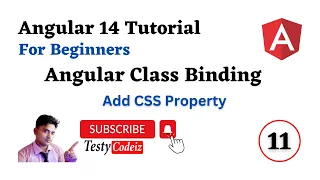 Angular 14 Tutorial for beginners Class Binding in Angular Add CSS Property in Angular Testycodeiz