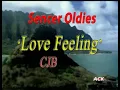 Lagu Love feeling