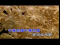 中華民國頌~費玉清~男Am調~伴奏導唱~金嗓