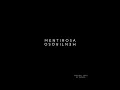 Download Lagu Fabien Pizar - MENTIROSA/MENTIROSO (Rafaga Bootleg Edit)