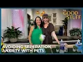 Download Lagu How to Avoid Separation Anxiety with Your Pets | The Good Stuff with Mary Berg