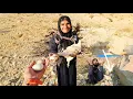 Lagu A Miracle: Finding a Hen with Eggs in the Mountains by Grandmother Razieh