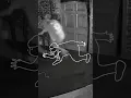 Download Lagu BlackOut Realistic Horror and Escape Games in Abu Dhabi with Live Actors