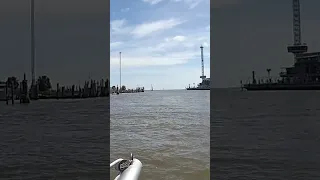 Dolphins on the Boardwalk #shorts