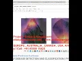 PLANT LEAF DISEASE DETECTION AND CLASSIFICATION - PYTHON CODE