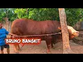 Download Lagu Update amunisi baru di kandang bruno sisp luncurkan kelas poel 1 pasang 🔥🔥🔥