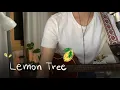 Download Lagu Lemon Tree - Fools Garden (Ukulele Cover)
